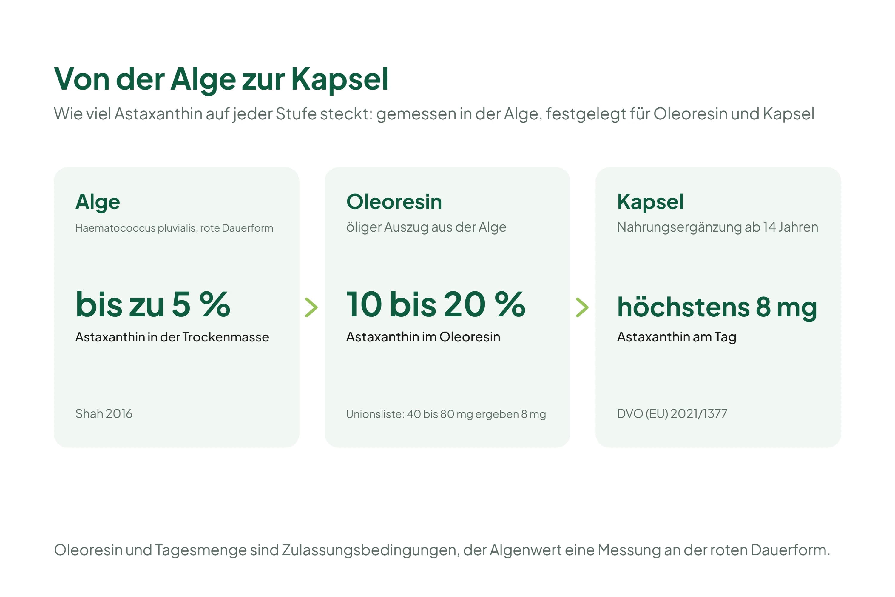 Grafik mit drei Karten und Pfeilen dazwischen: die Alge Haematococcus pluvialis mit bis zu 5 Prozent Astaxanthin in der Trockenmasse, das Oleoresin mit 10 bis 20 Prozent Astaxanthin und die Kapsel mit höchstens 8 mg Astaxanthin am Tag.