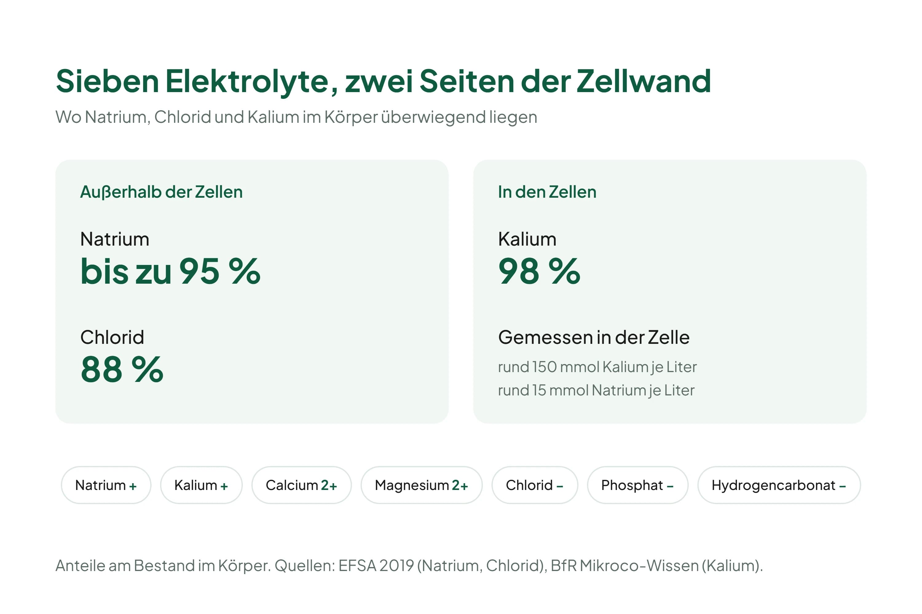 Grafik mit zwei Feldern und sieben Chips: links das Feld außerhalb der Zellen mit Natrium bis zu 95 Prozent und Chlorid 88 Prozent, rechts das Feld in den Zellen mit Kalium 98 Prozent; darunter die sieben Elektrolyte als Chips mit Plus- und Minus-Zeichen.