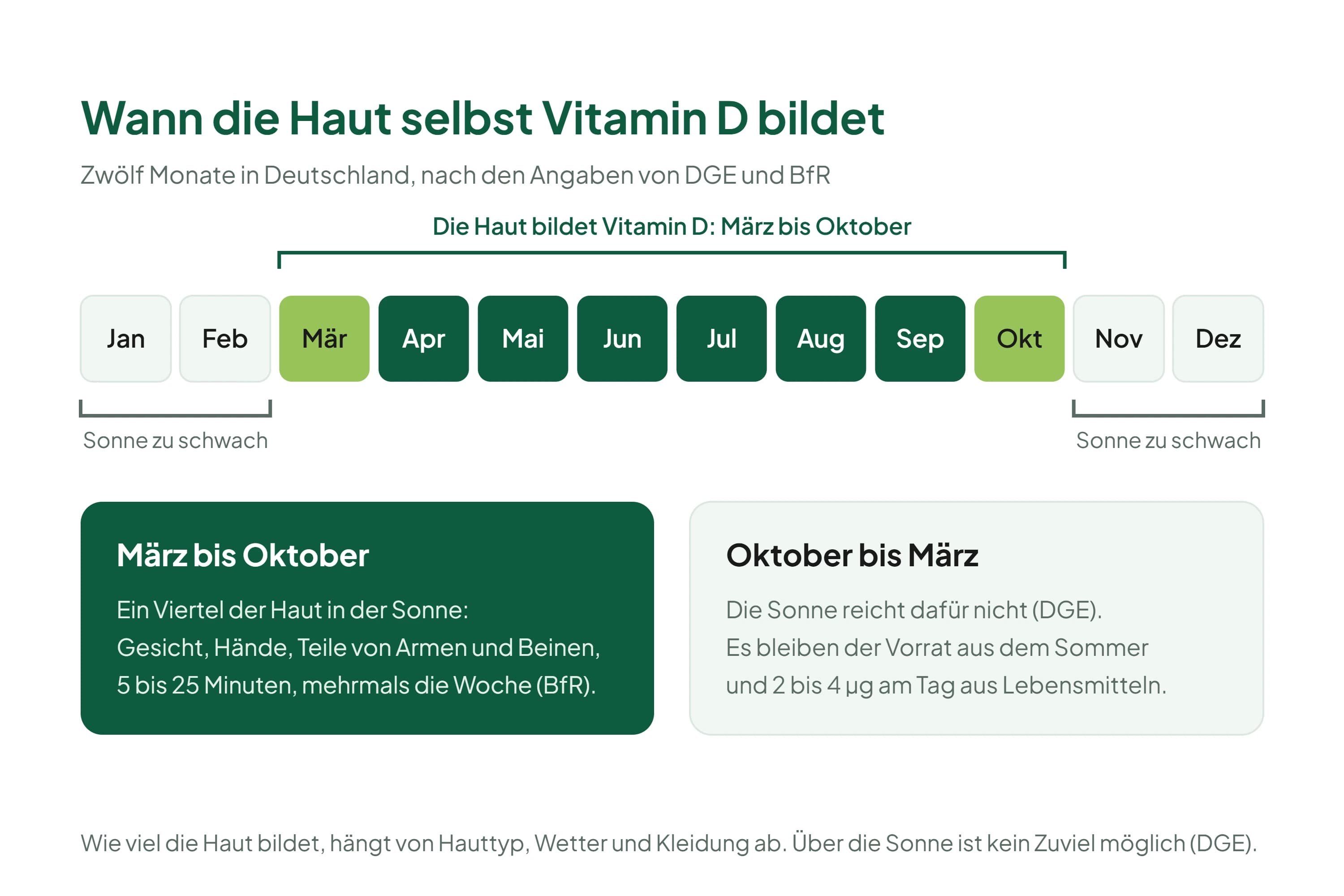 Zwölf Monatsfelder in einer Reihe: März bis Oktober grün mit dem Hinweis, dass die Haut bei 5 bis 25 Minuten Sonne auf einem Viertel der Haut mehrmals die Woche Vitamin D bildet, Oktober bis März hell mit dem Hinweis, dass die Sonne zu schwach ist und der Vorrat aus dem Sommer sowie 2 bis 4 Mikrogramm aus Lebensmitteln bleiben.